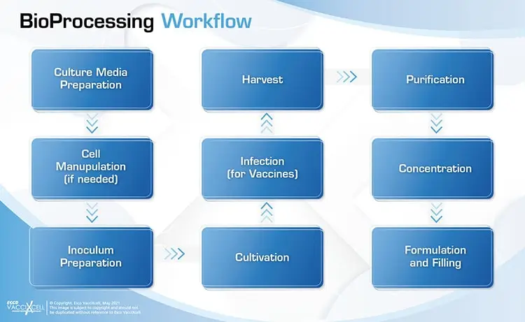 bioprocessing workflow